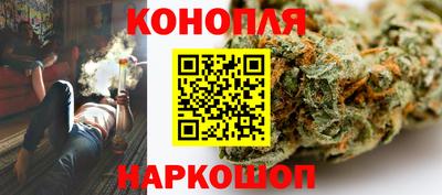 стафф Заводоуковск