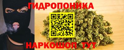 гашик Жуковский