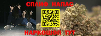 гашик Жуковский