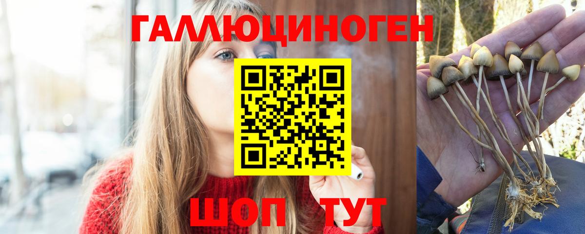 Галлюциногенные грибы мухоморы Миллерово